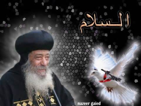 Baba Shenouda, pray for us!